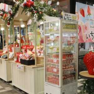 期間限定アンテナショップ「『いちご王国・栃木』Christmas Special 5 days!」