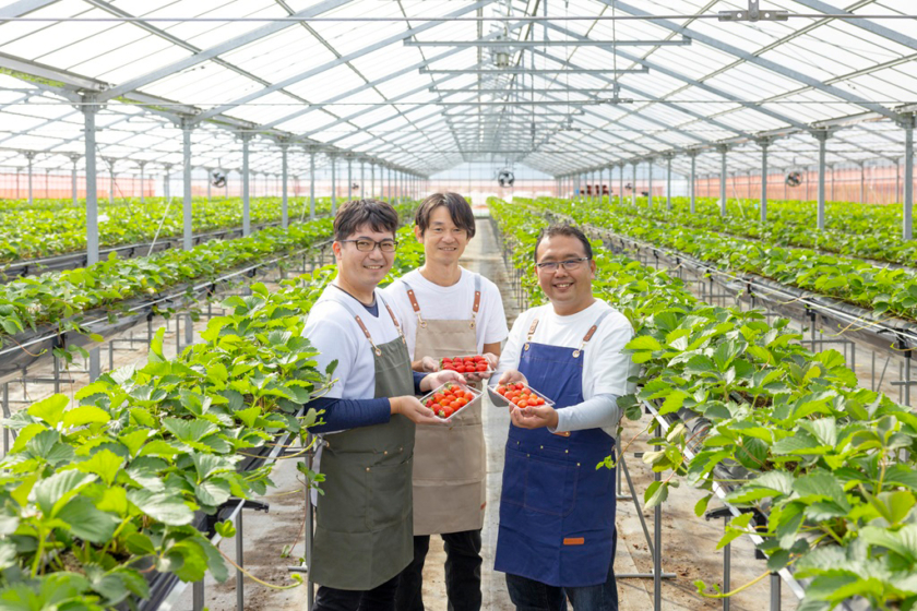近鉄百貨店が運営する農園「はるちかファーム」