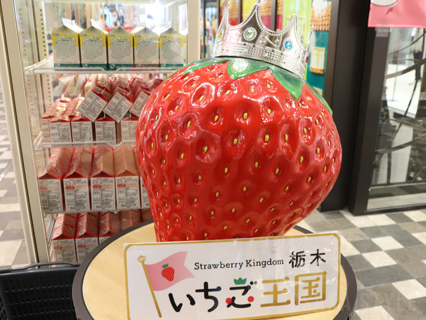 期間限定アンテナショップ「『いちご王国・栃木』Christmas Special 5 days!」