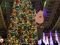 JR大阪駅・大阪ステーションシティでイルミネーション「Twilight Fantasy（トワイライトファンタジー）2025」