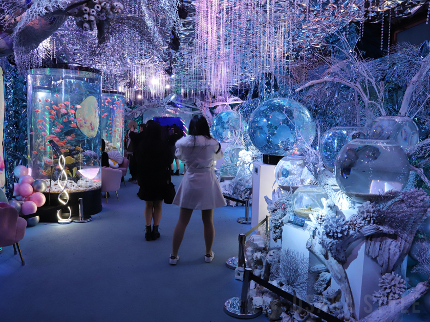 スペースマーメイド