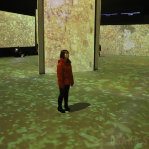 没入型展覧会「クリムト・アライブ 大阪展」