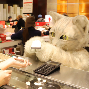 あべのハルカス近鉄本店にプリン専門店「坂の上の猫」　アルバイト猫ミクちゃんが接客