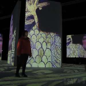 没入型展覧会「クリムト・アライブ 大阪展」