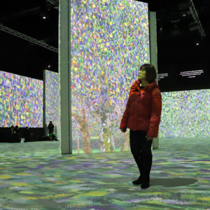 没入型展覧会「クリムト・アライブ 大阪展」