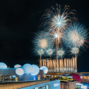 JAPAN FIREWORKS EXPO