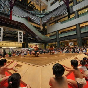 相撲イベント「春がキタ！うめきた場所 in グランフロント大阪」