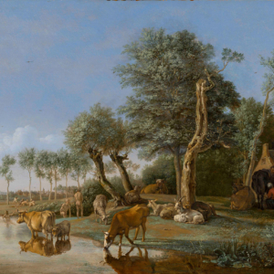 パウルス・ポッテル「水に映る牛」