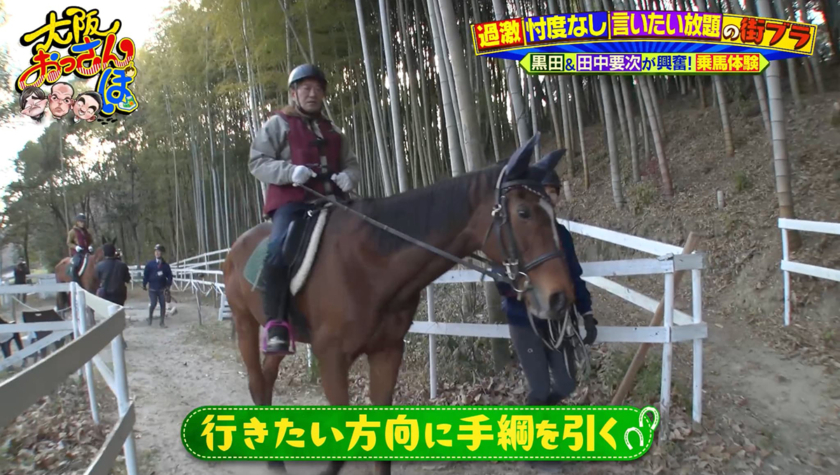 服部緑地乗馬センター