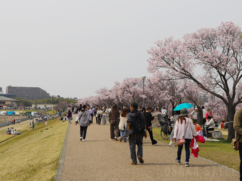 狭山池公園