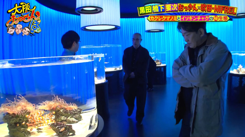 生きているミュージアム ニフレル