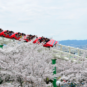 ひらかたパークの桜
