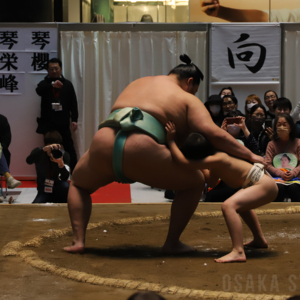 「春がキタ！うめきた場所 in グランフロント大阪2026」でちびっこ相撲