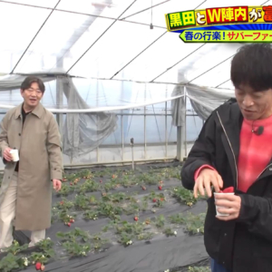 体験型農業公園「サバーファーム」でいちご狩り