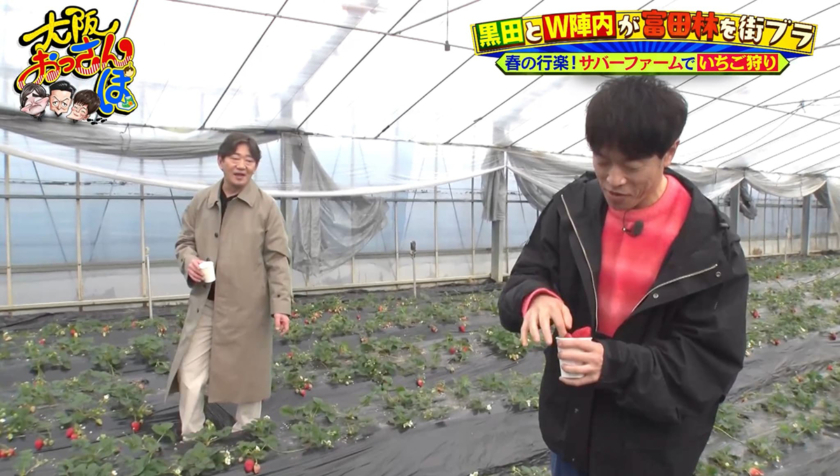 体験型農業公園「サバーファーム」でいちご狩り