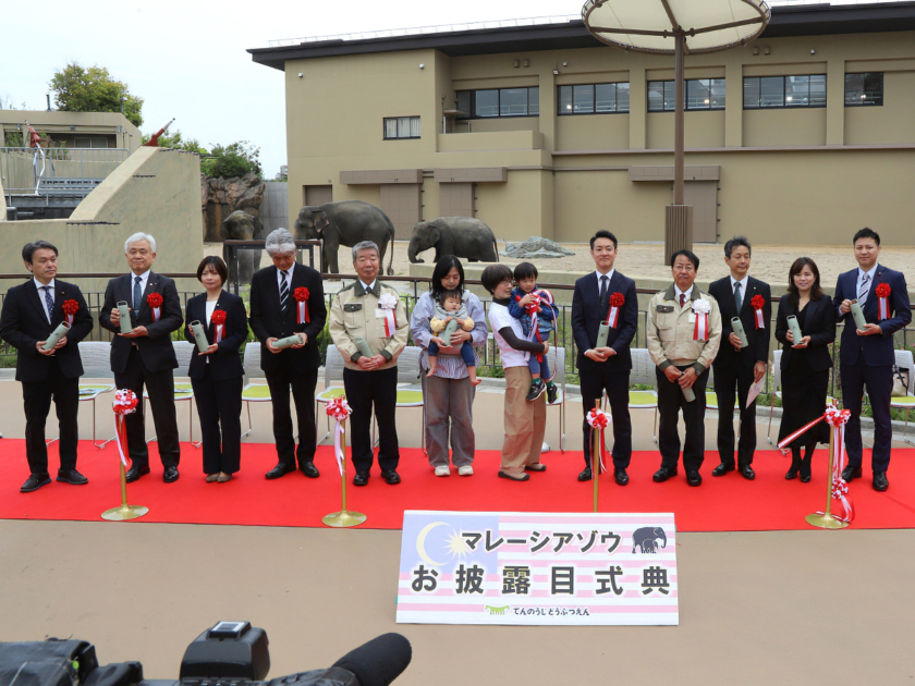 天王寺動物園でマレーシアゾウお披露目セレモニー