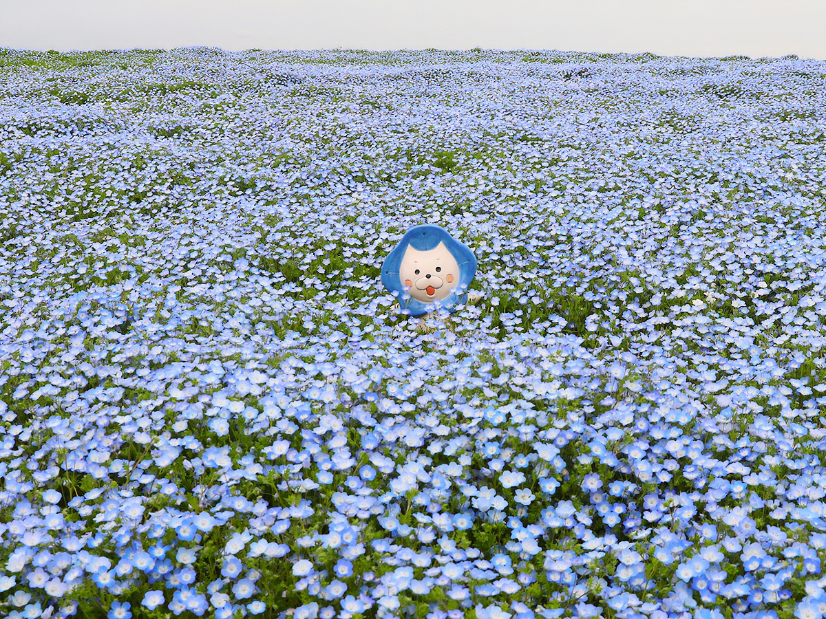 ネモフィラ祭りの公式キャラクター「ネモにゃん」も