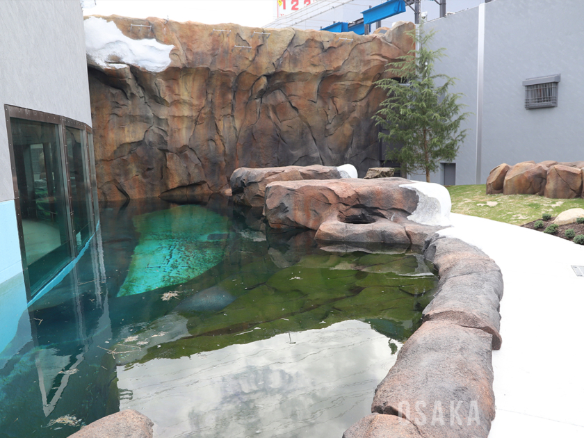 「ポーラーベアコースト」の飼育場