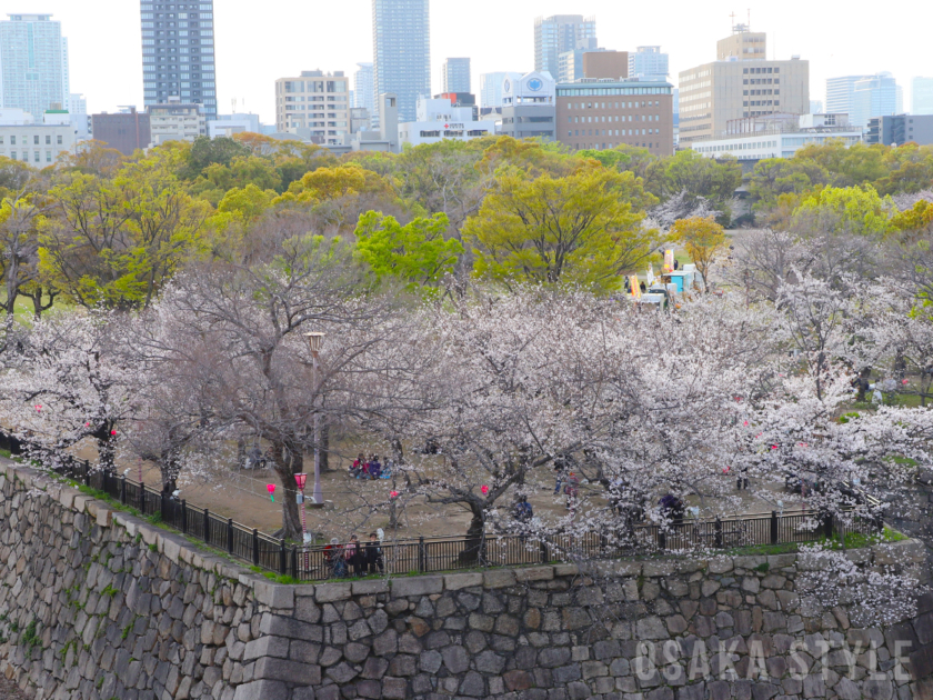 大阪城西の丸庭園の桜