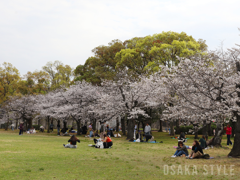 大阪城西の丸庭園の桜