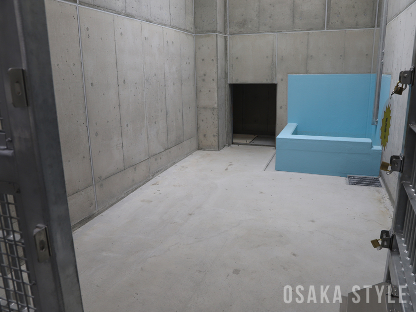 天王寺動物園 新ホッキョクグマ舎の寝室