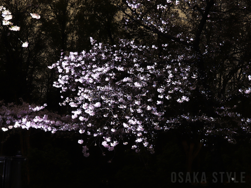 チームラボ ボタニカルガーデン 大阪