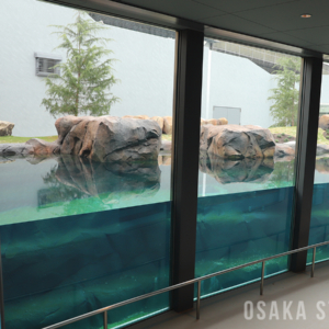 天王寺動物園 新ホッキョクグマ舎