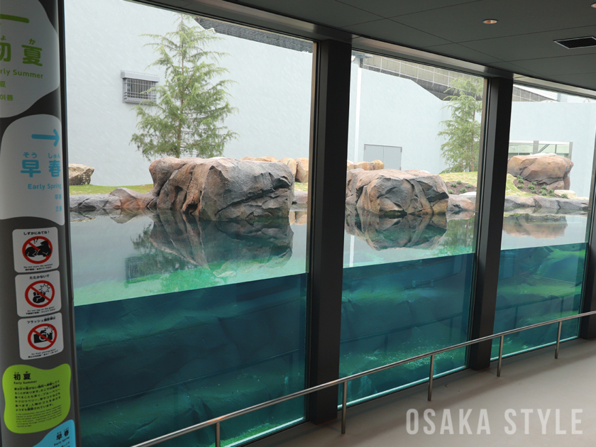 天王寺動物園 新ホッキョクグマ舎