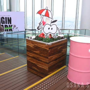 BTS・Jinさんアンバサダーの「IGIN」　あべのハルカス展望台でポップアップストア