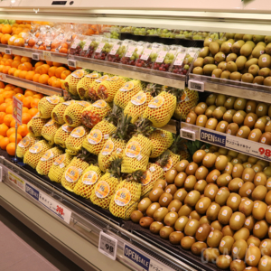 フードスタイルあびこ駅前店