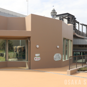 天王寺動物園の新ホッキョクグマ舎「ポーラーベアコースト」
