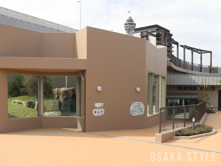 天王寺動物園の新ホッキョクグマ舎「ポーラーベアコースト」