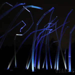 風と共に踊る柱群