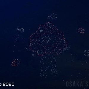 OSAKA BAY SKYLUMINA FIREWORKS & DRONES