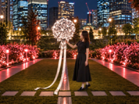 バラ園でライトアート「Bloom with You」
