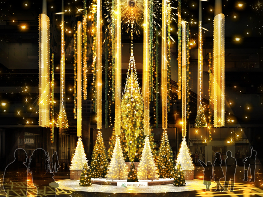 Evergreen Forest Tree