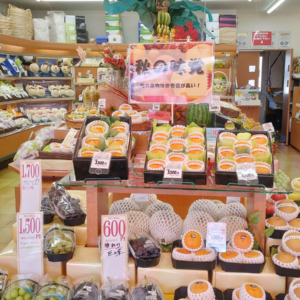 老舗果物店「アオイ農園」